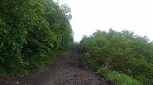 20120710_084733