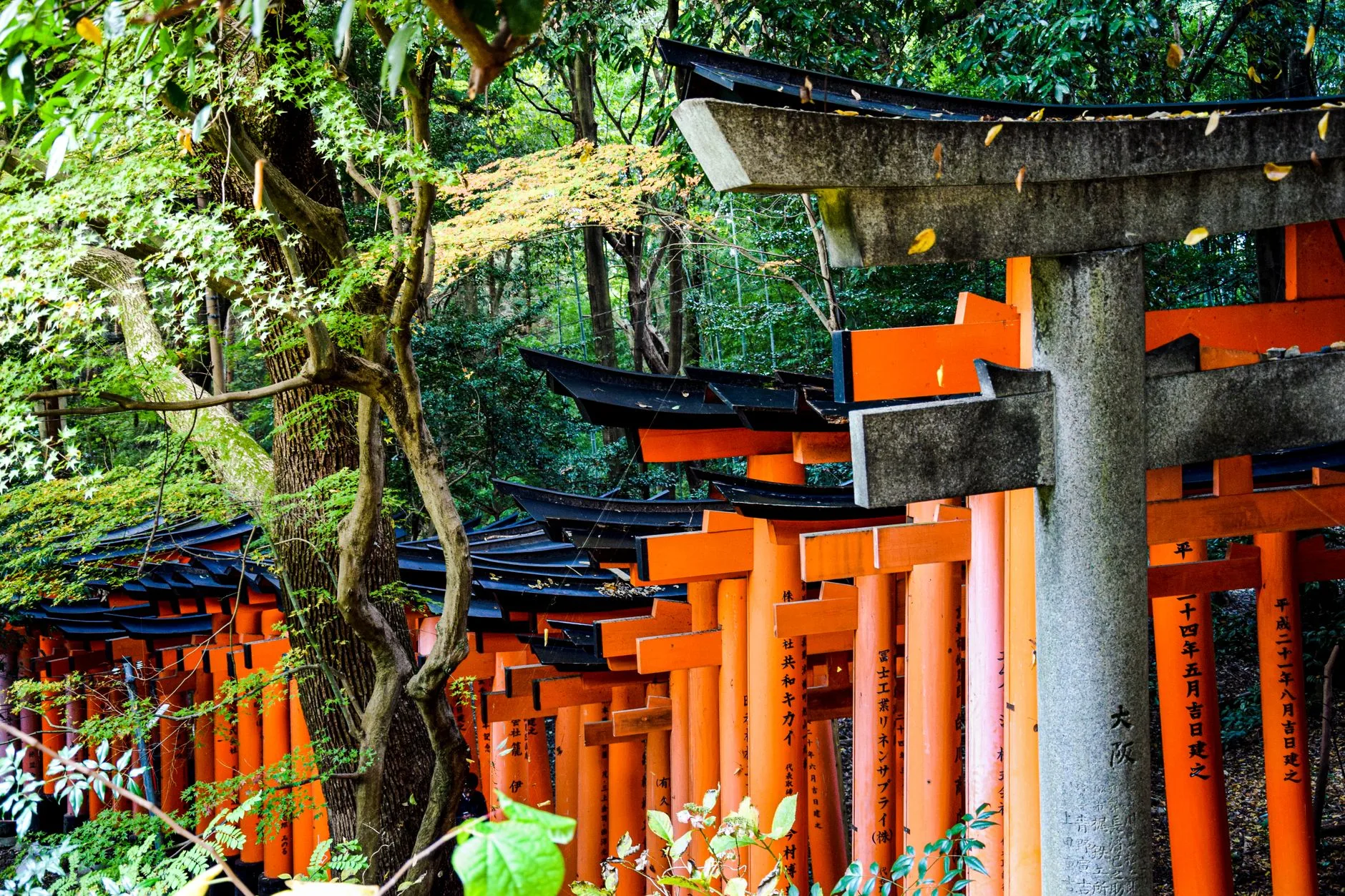 Jour 2 : Fushimi Inari et Kiyomizu-dera