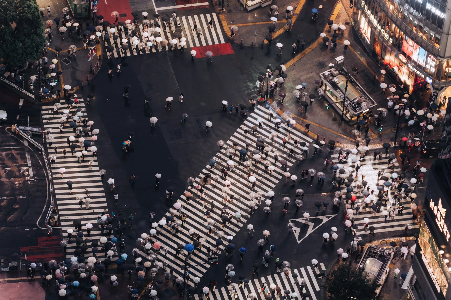 Shibuya : l'énergie de la jeunesse tokyoïte