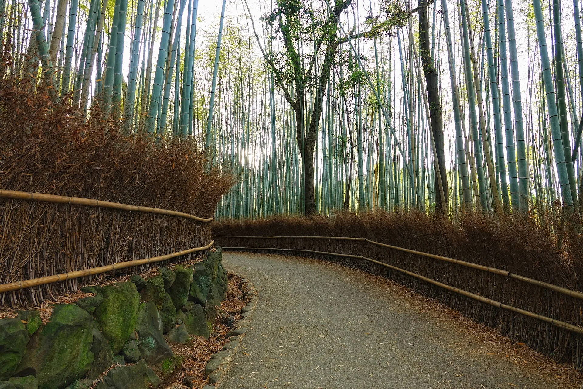 Arashiyama : bambouseraie, temple et rivière