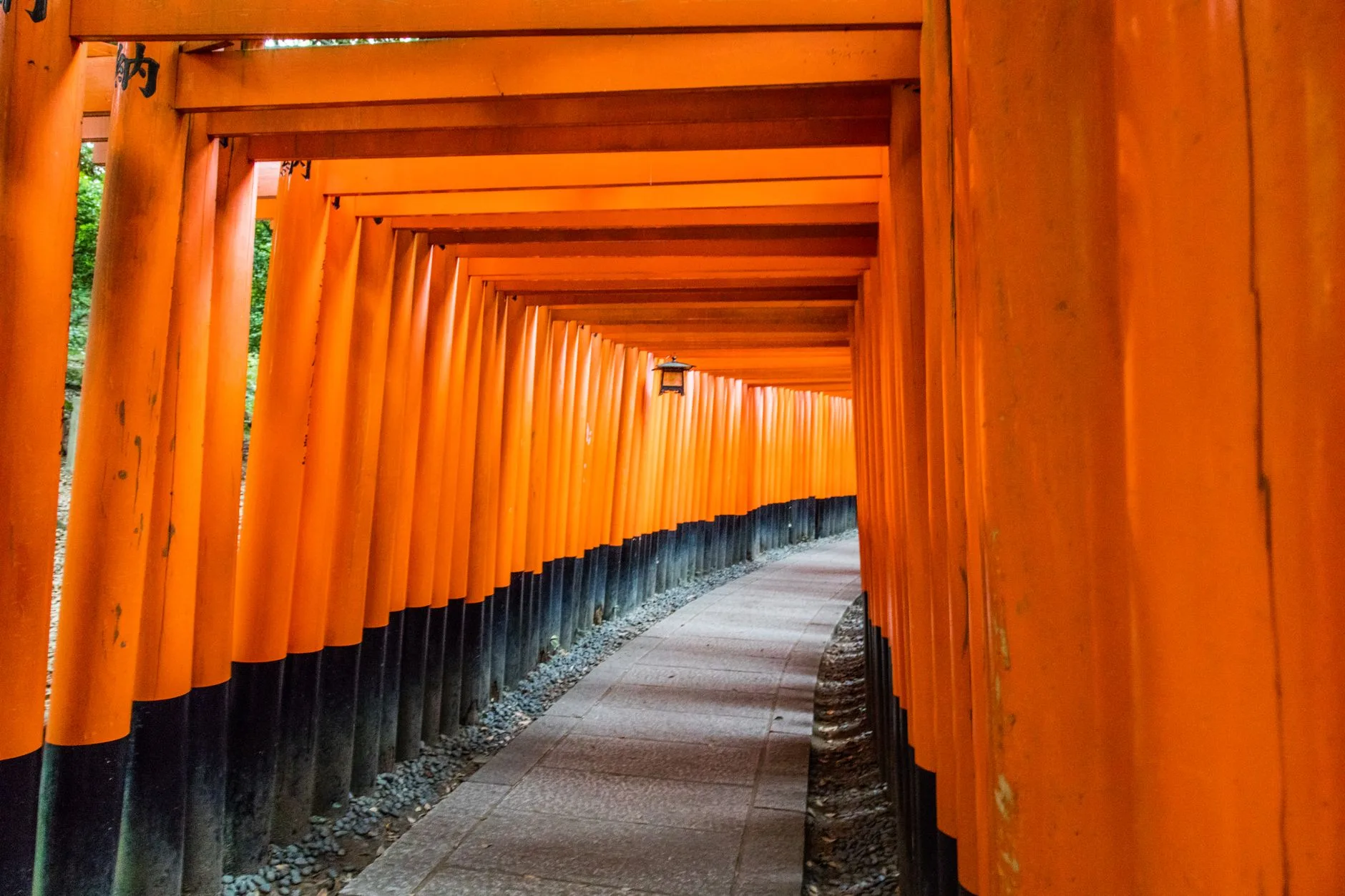 Fushimi Inari : le sanctuaire aux milliers de torii